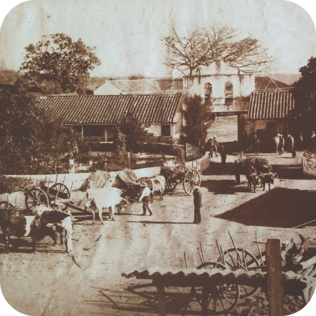 Historia caña de azúcar